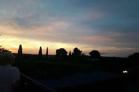 Il Glicine